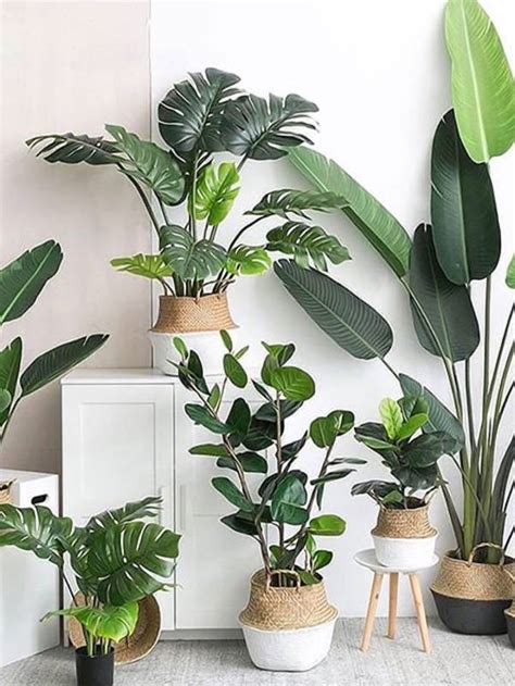客廳綠色植物 門貼好用嗎